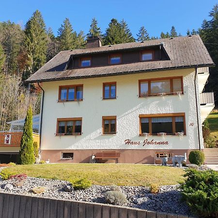 Haus Johanna Todtmoos Exterior foto
